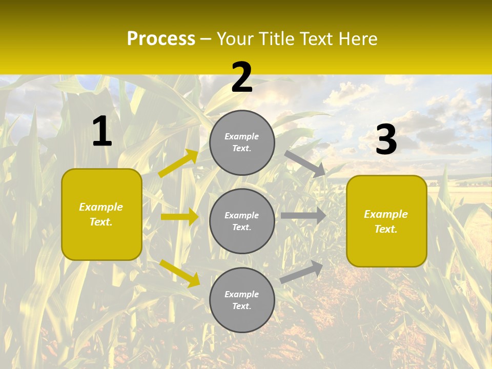 A Corn Field With Clouds In The Background PowerPoint Template