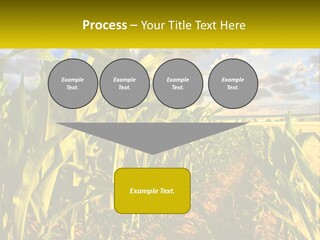 A Corn Field With Clouds In The Background PowerPoint Template