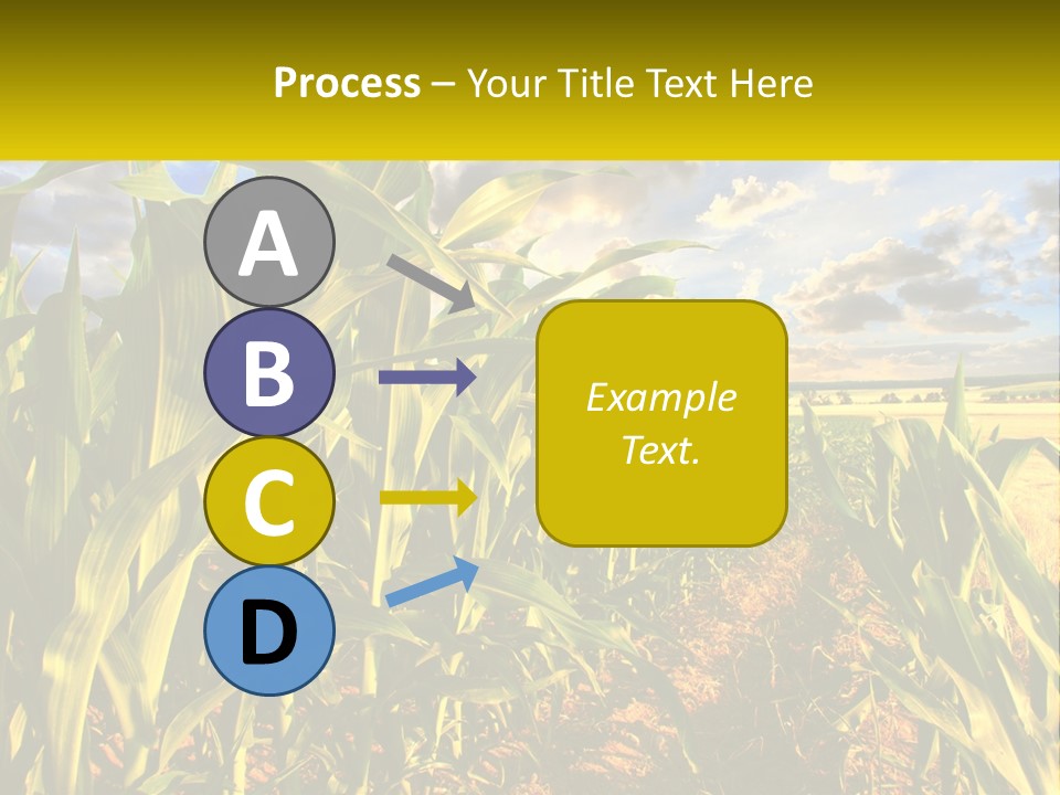 A Corn Field With Clouds In The Background PowerPoint Template