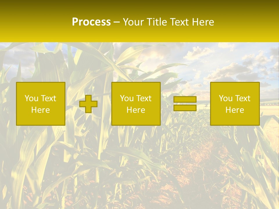 A Corn Field With Clouds In The Background PowerPoint Template