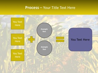 A Corn Field With Clouds In The Background PowerPoint Template