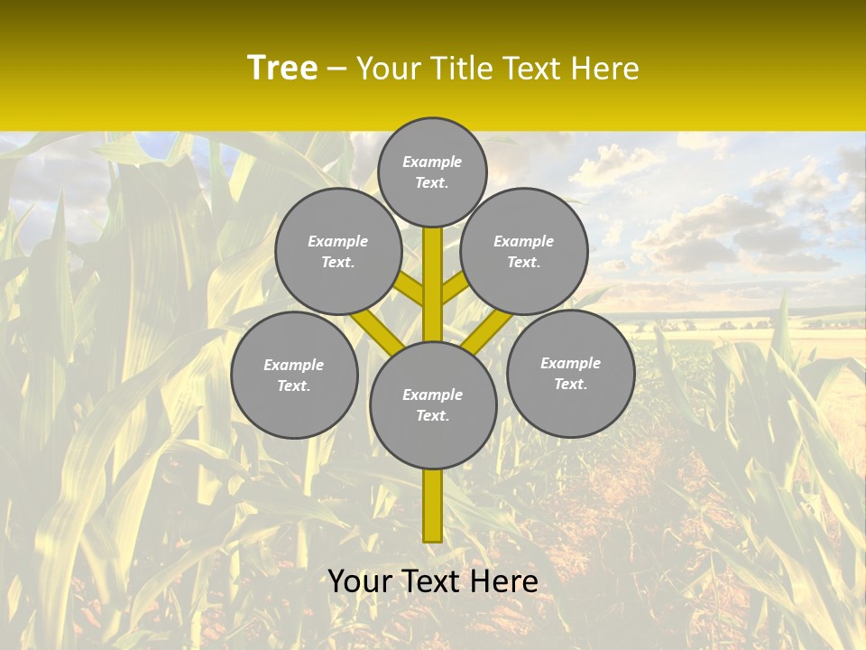 A Corn Field With Clouds In The Background PowerPoint Template