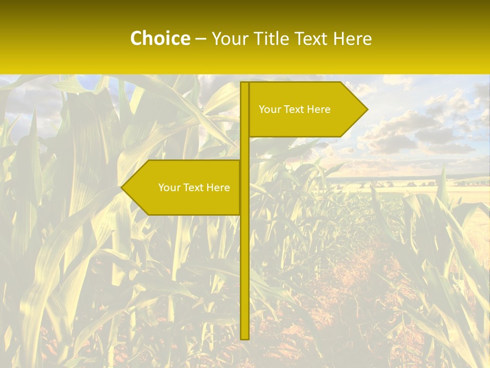 A Corn Field With Clouds In The Background PowerPoint Template