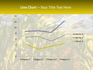 A Corn Field With Clouds In The Background PowerPoint Template