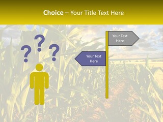 A Corn Field With Clouds In The Background PowerPoint Template