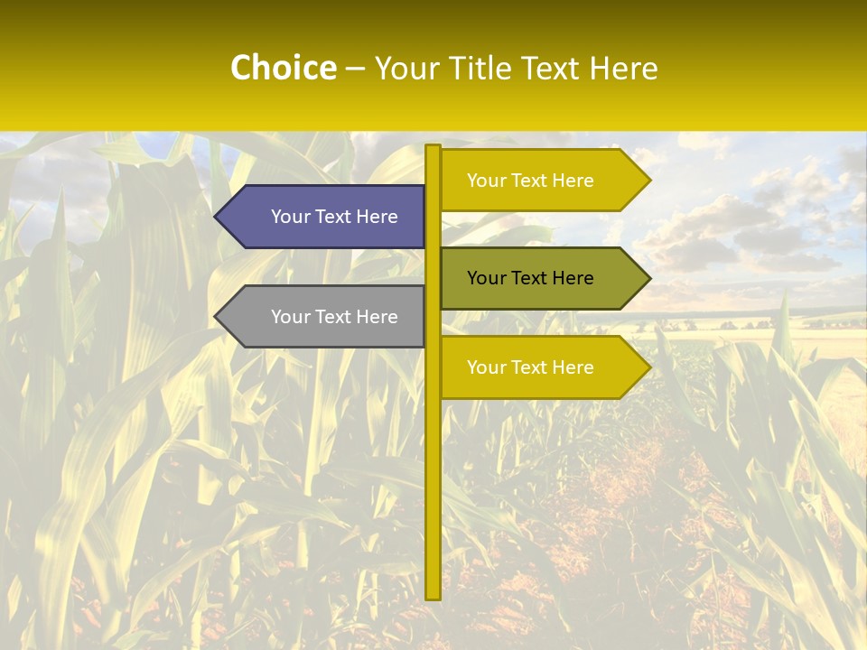 A Corn Field With Clouds In The Background PowerPoint Template