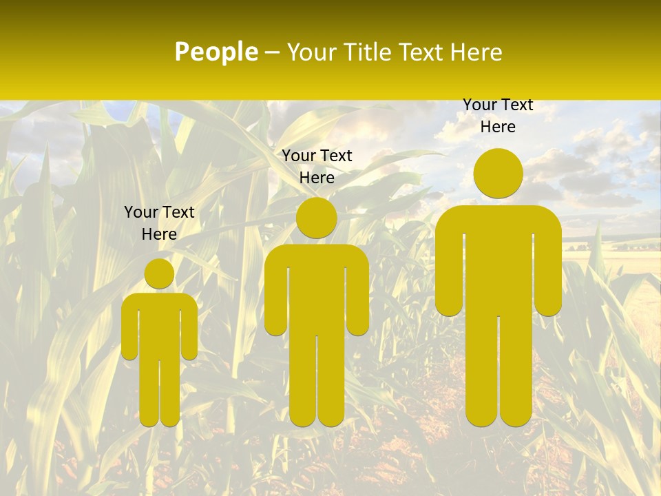 A Corn Field With Clouds In The Background PowerPoint Template