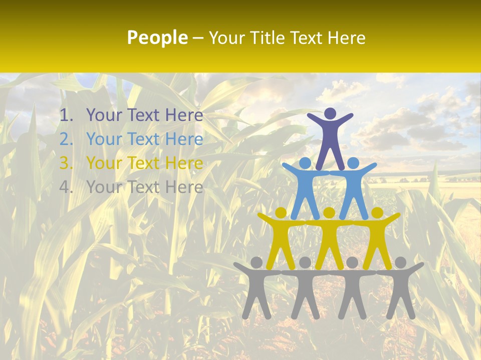 A Corn Field With Clouds In The Background PowerPoint Template