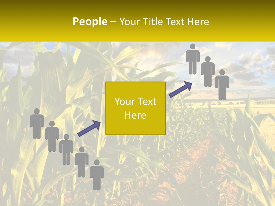 A Corn Field With Clouds In The Background PowerPoint Template