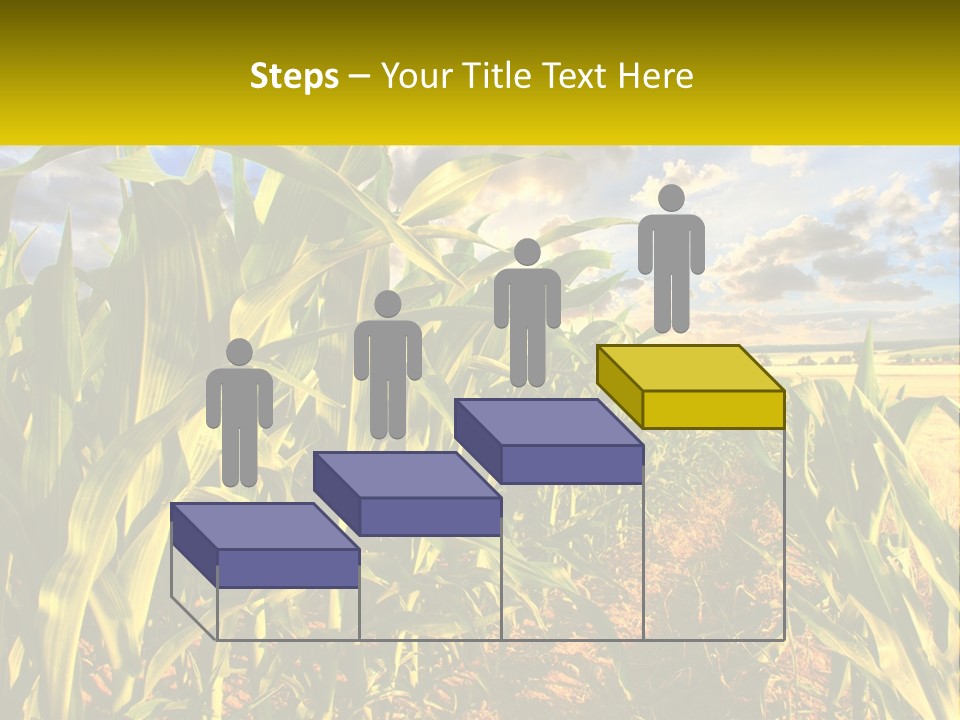 A Corn Field With Clouds In The Background PowerPoint Template