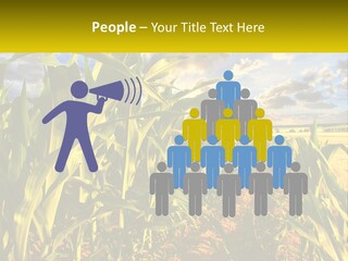 A Corn Field With Clouds In The Background PowerPoint Template