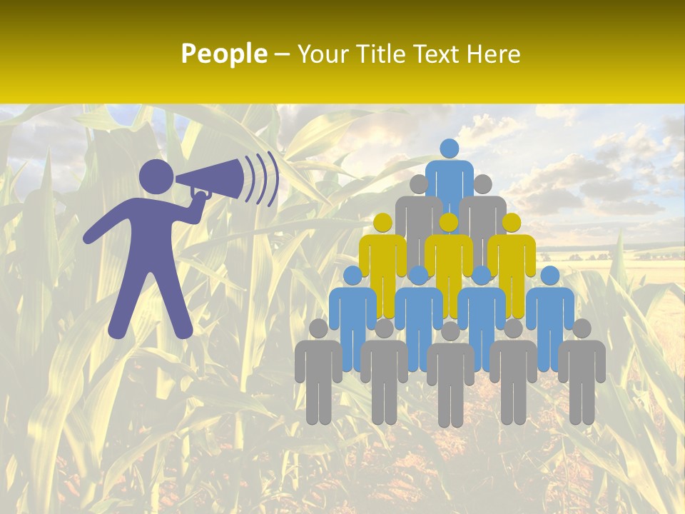 A Corn Field With Clouds In The Background PowerPoint Template