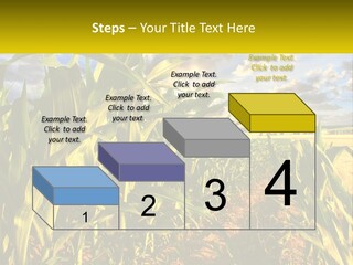 A Corn Field With Clouds In The Background PowerPoint Template
