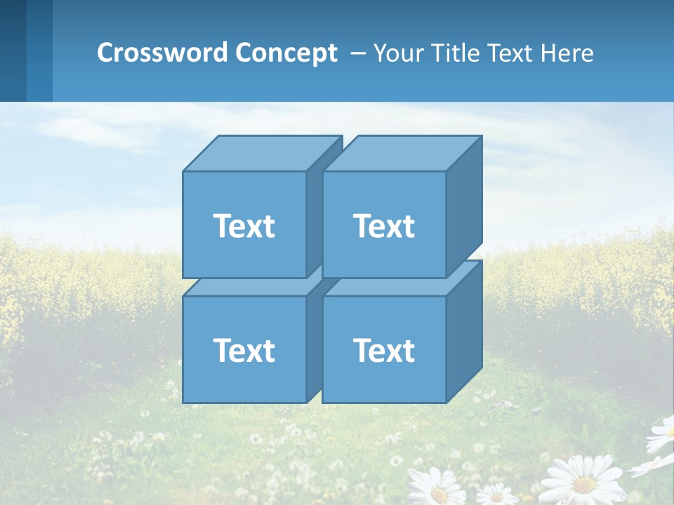 A Field Of Flowers With The Sun In The Background PowerPoint Template