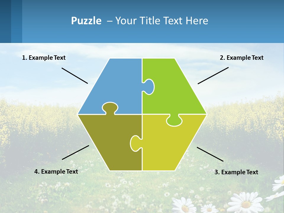 A Field Of Flowers With The Sun In The Background PowerPoint Template