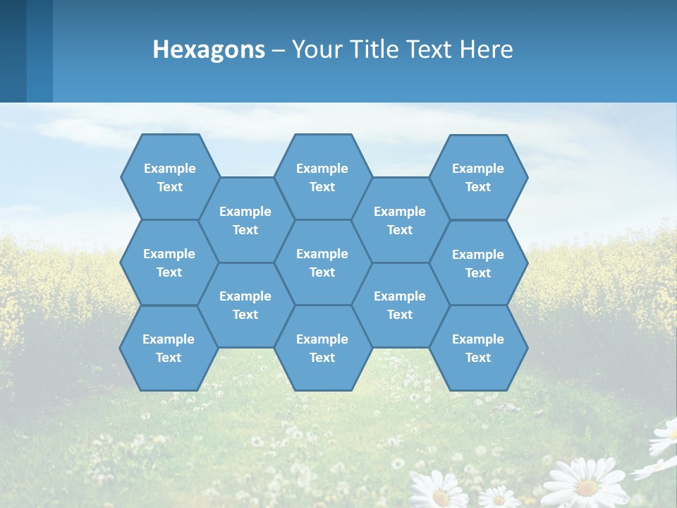A Field Of Flowers With The Sun In The Background PowerPoint Template