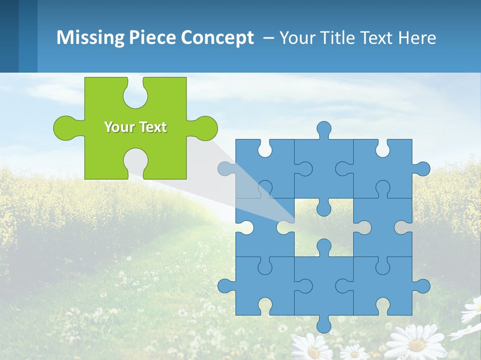 A Field Of Flowers With The Sun In The Background PowerPoint Template