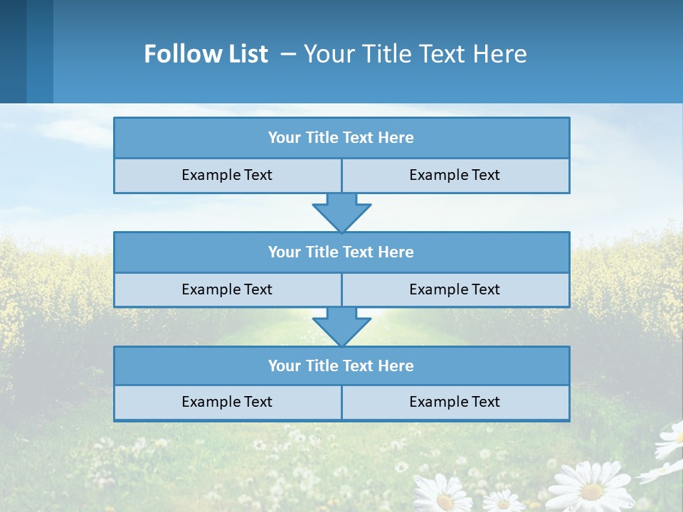 A Field Of Flowers With The Sun In The Background PowerPoint Template