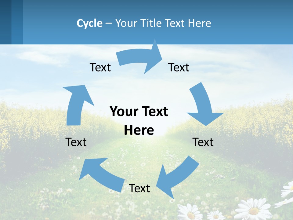 A Field Of Flowers With The Sun In The Background PowerPoint Template