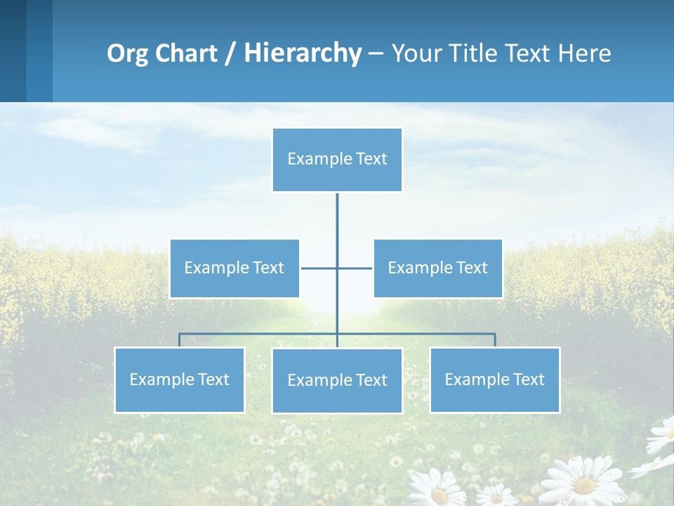 A Field Of Flowers With The Sun In The Background PowerPoint Template