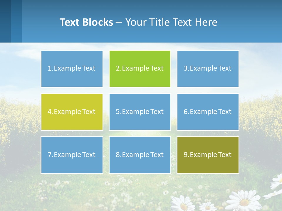 A Field Of Flowers With The Sun In The Background PowerPoint Template