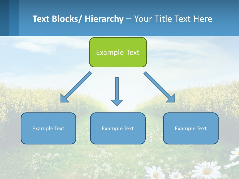 A Field Of Flowers With The Sun In The Background PowerPoint Template