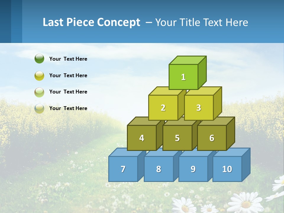 A Field Of Flowers With The Sun In The Background PowerPoint Template