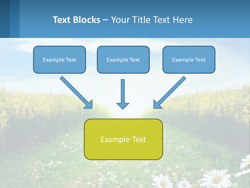 A Field Of Flowers With The Sun In The Background PowerPoint Template