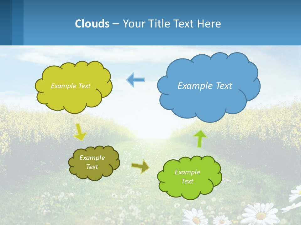 A Field Of Flowers With The Sun In The Background PowerPoint Template