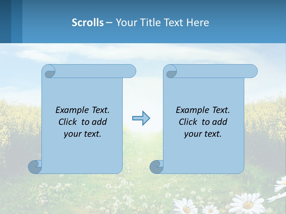 A Field Of Flowers With The Sun In The Background PowerPoint Template