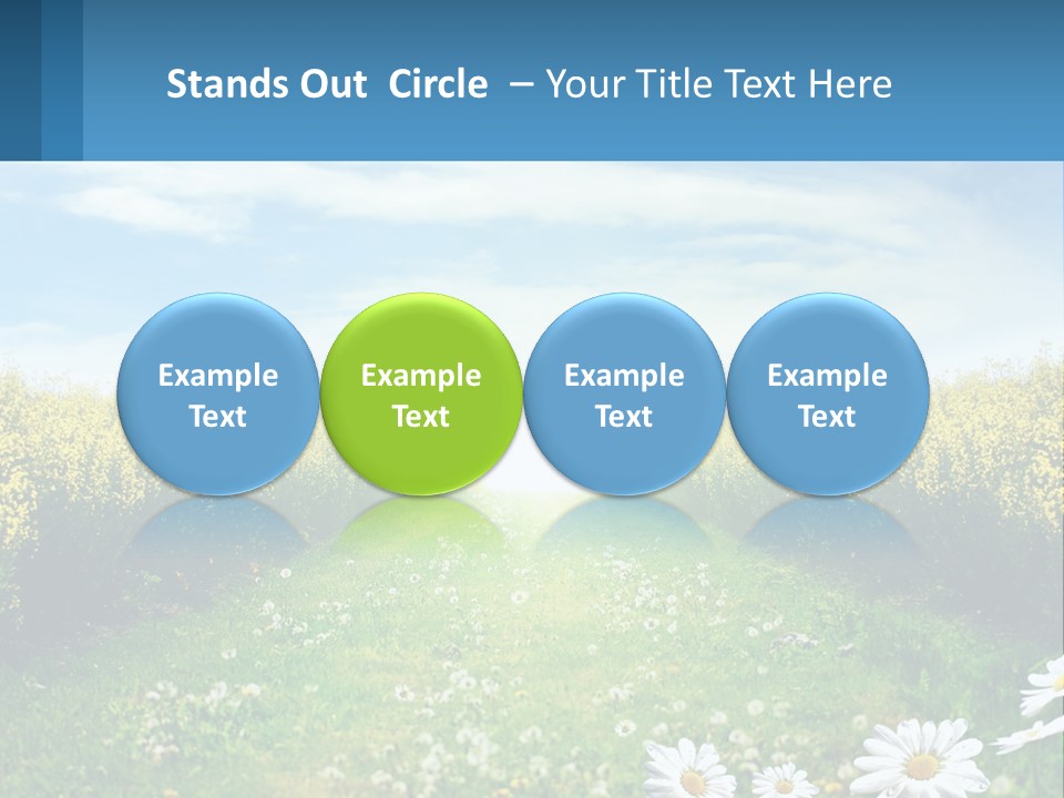 A Field Of Flowers With The Sun In The Background PowerPoint Template