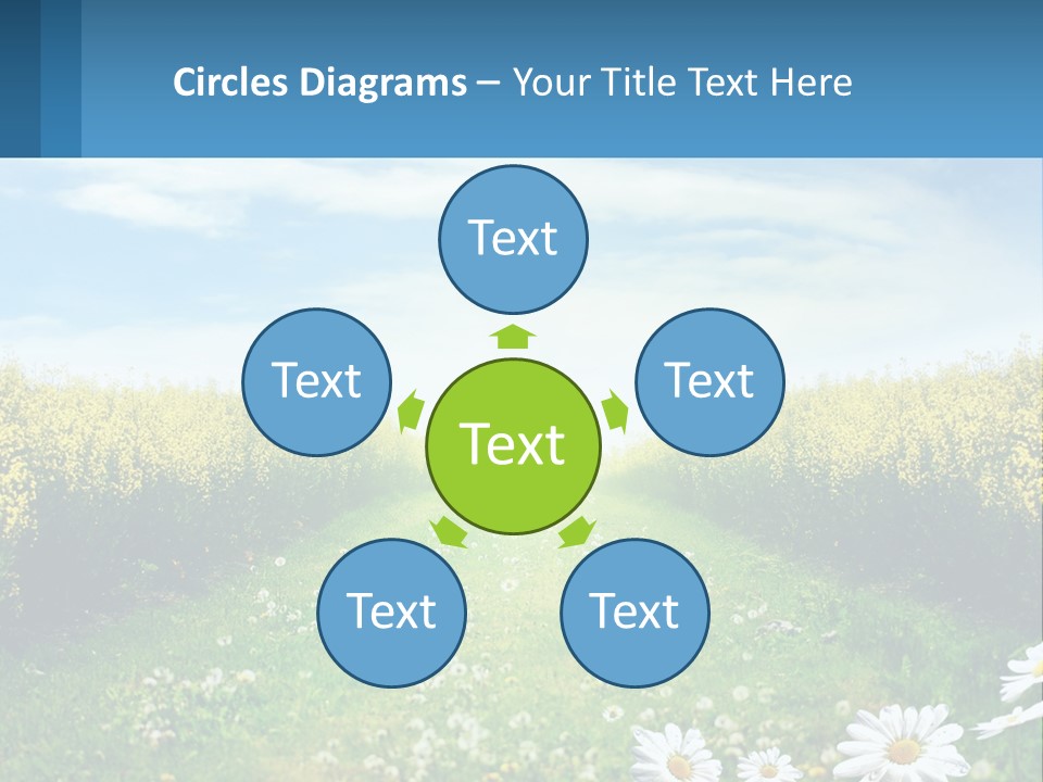 A Field Of Flowers With The Sun In The Background PowerPoint Template