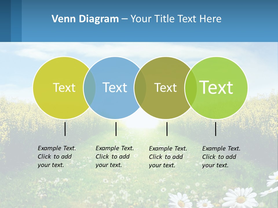 A Field Of Flowers With The Sun In The Background PowerPoint Template