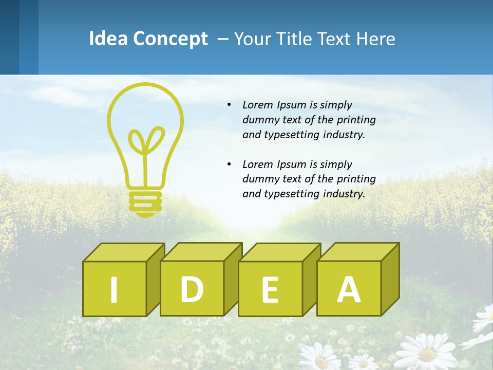 A Field Of Flowers With The Sun In The Background PowerPoint Template