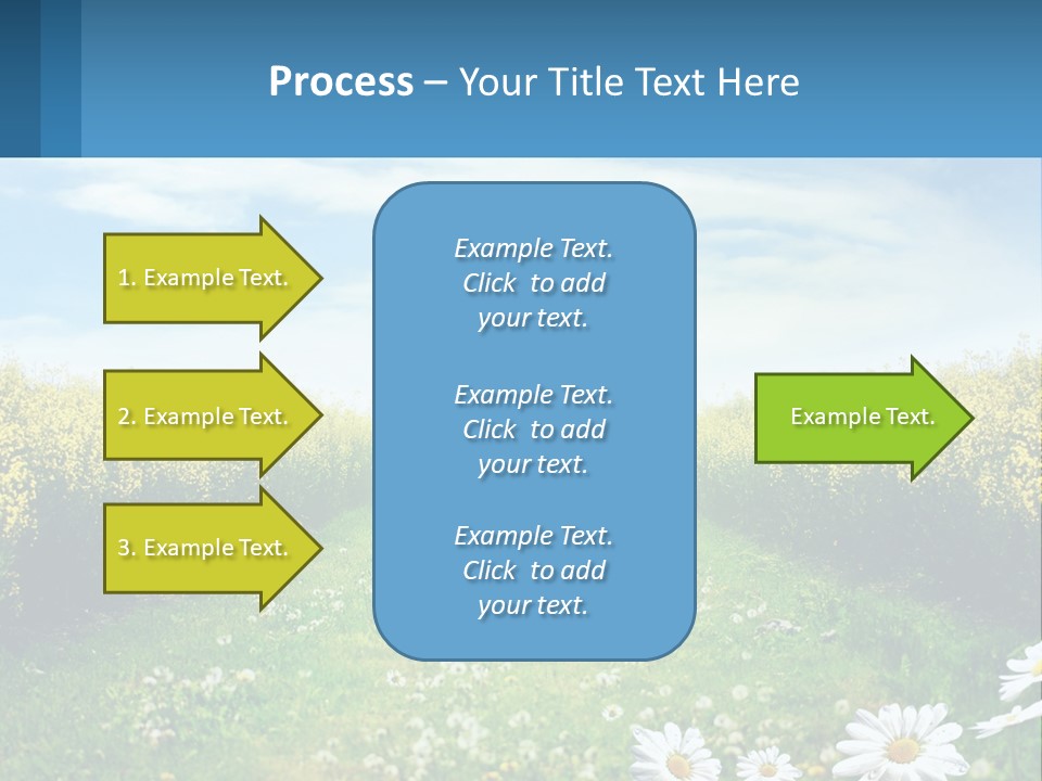 A Field Of Flowers With The Sun In The Background PowerPoint Template