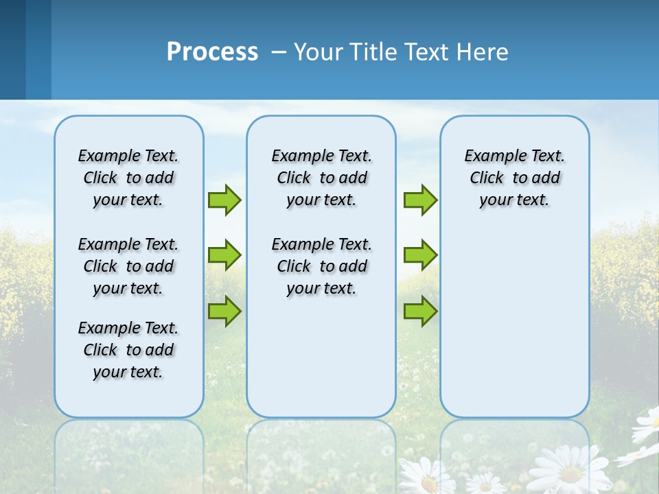 A Field Of Flowers With The Sun In The Background PowerPoint Template
