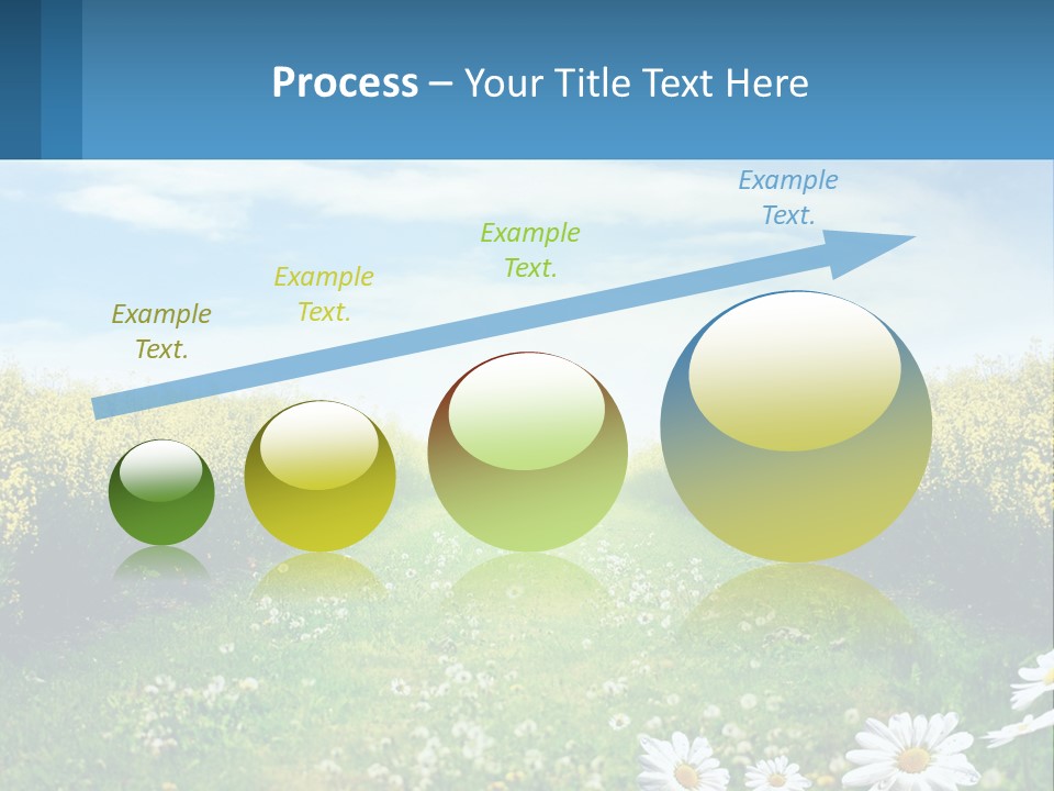A Field Of Flowers With The Sun In The Background PowerPoint Template