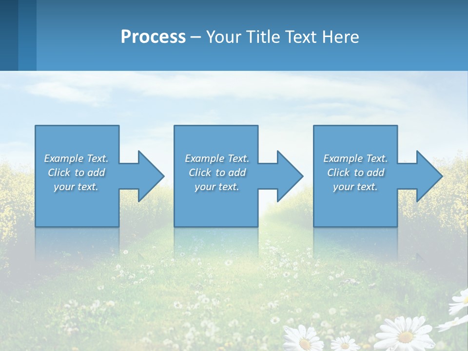 A Field Of Flowers With The Sun In The Background PowerPoint Template