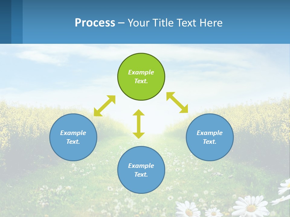 A Field Of Flowers With The Sun In The Background PowerPoint Template