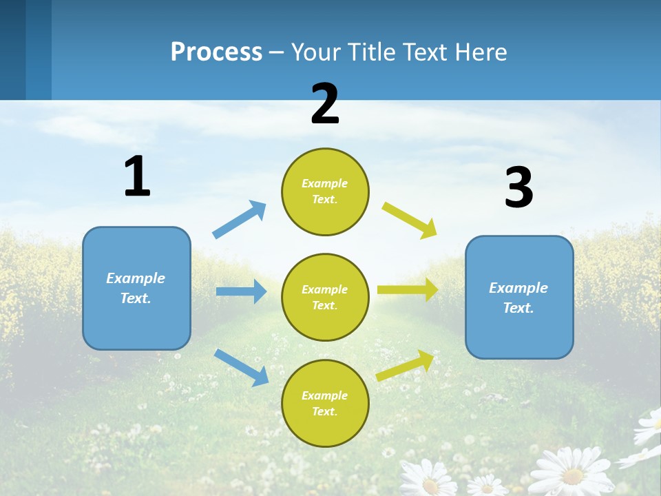 A Field Of Flowers With The Sun In The Background PowerPoint Template