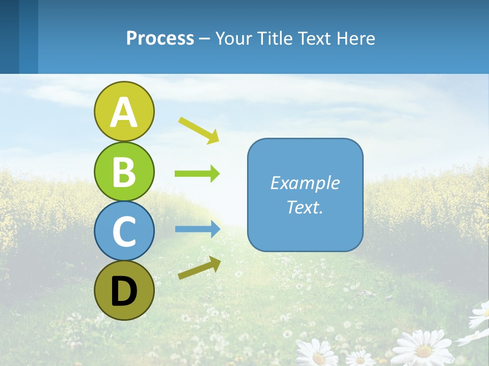 A Field Of Flowers With The Sun In The Background PowerPoint Template
