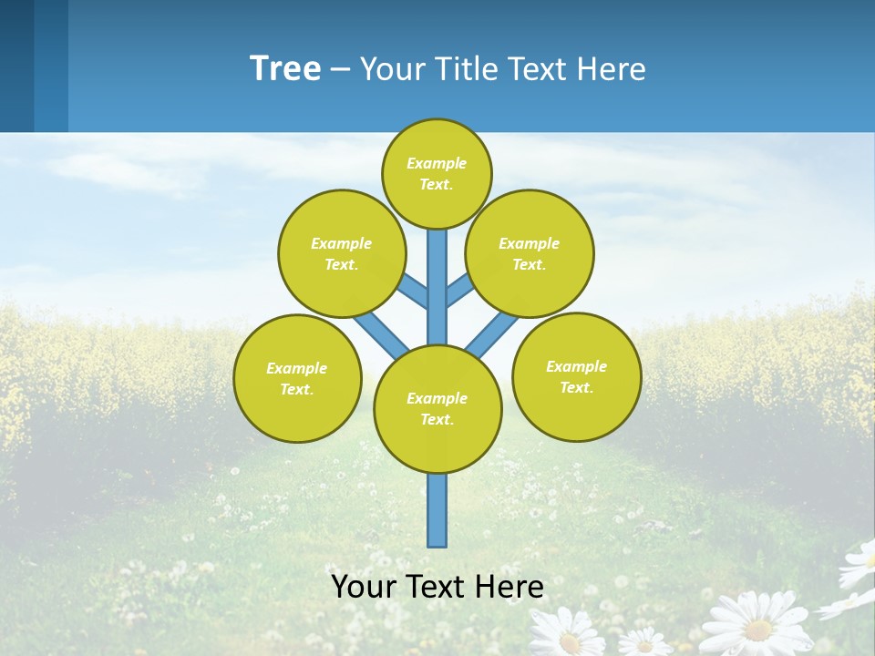 A Field Of Flowers With The Sun In The Background PowerPoint Template