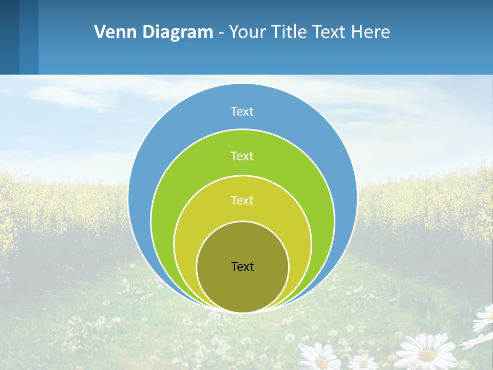 A Field Of Flowers With The Sun In The Background PowerPoint Template