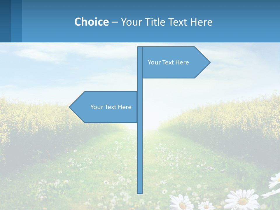 A Field Of Flowers With The Sun In The Background PowerPoint Template