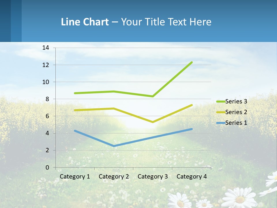 A Field Of Flowers With The Sun In The Background PowerPoint Template