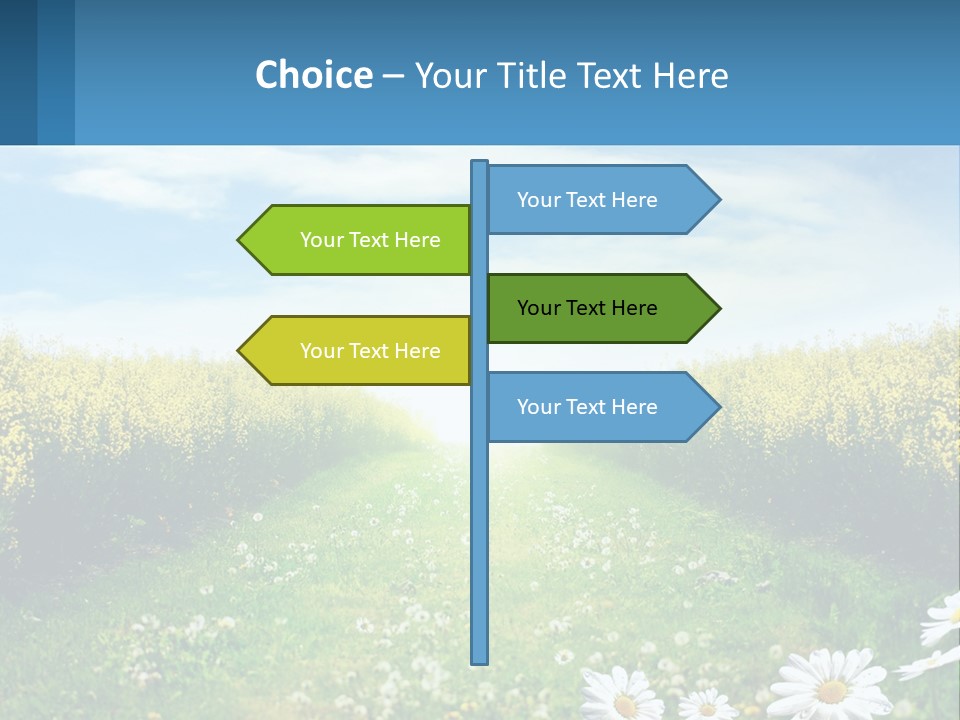 A Field Of Flowers With The Sun In The Background PowerPoint Template
