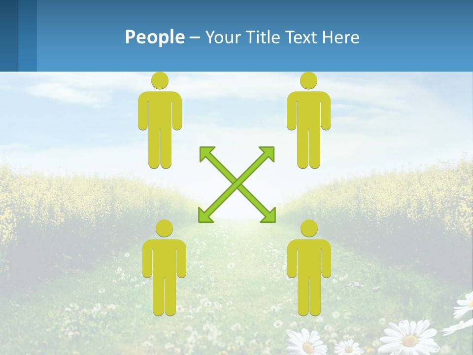 A Field Of Flowers With The Sun In The Background PowerPoint Template