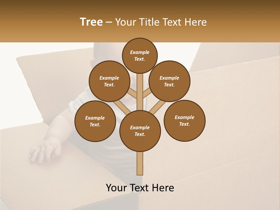 A Baby Sitting In A Cardboard Box With A Smile On His Face PowerPoint Template