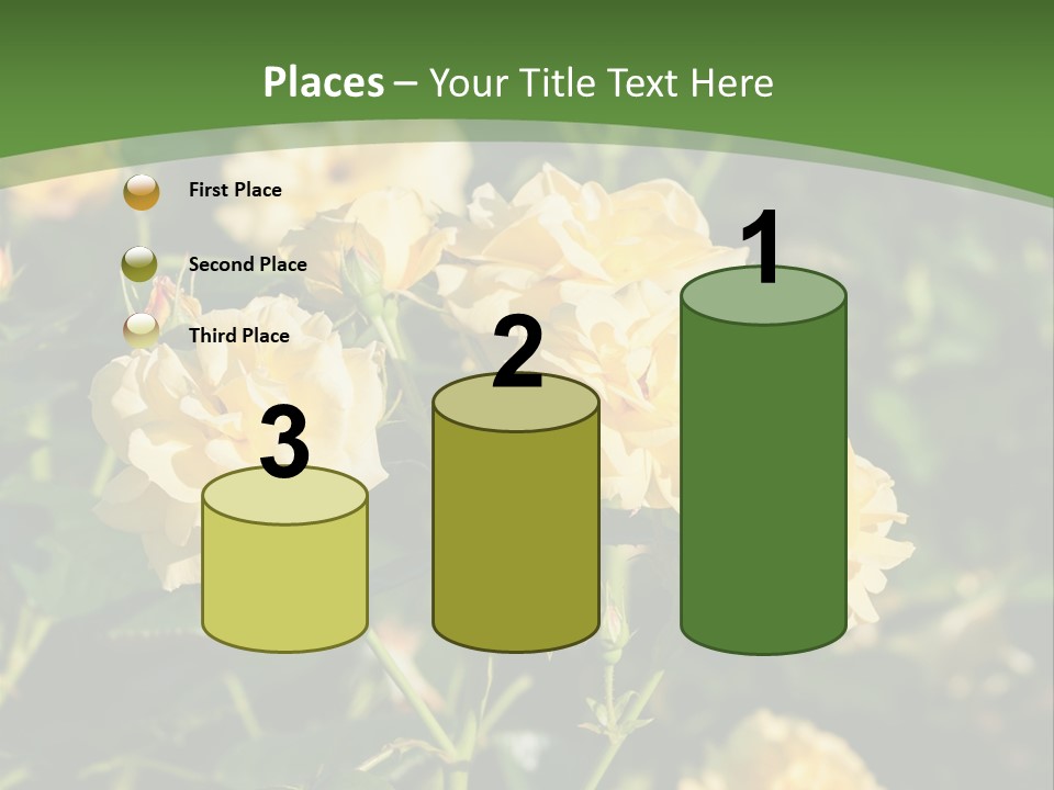 A Yellow Rose Powerpoint Presentation Is Shown PowerPoint Template