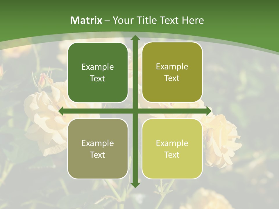 A Yellow Rose Powerpoint Presentation Is Shown PowerPoint Template